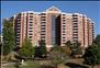 Cascade at Landmark - Community