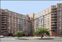 The Reserve at Clarendon Centre-Clarendon Apartments