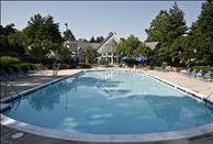 Ellipse at Government Center - Swimming Pool