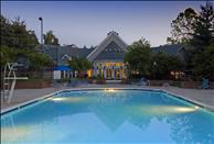 Ellipse at Government Center - Swimming Pool