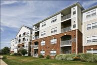 Reserve at Potomac Yard - Community