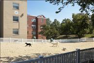 Washington DC - Clarendon - Sheffield Court - Outdoor Area