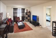 Washington DC - Clarendon - Sheffield Court - Living Room