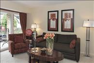 Northern Virginia - Tysons Corner - The Oaks at Falls Church - Living Room