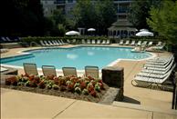 Washington DC - Alexandria - Town Square at Mark Center - Swimming Pool