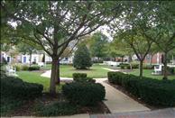 Washington DC - Alexandria - Town Square at Mark Center - Courtyard