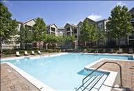 Westerly at Worldgate - Swimming Pool