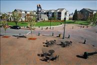 Bella Terra - Community