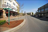 Bella Terra - Community