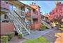 Bellevue Meadows Apartments - Exterior