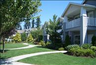 Bradley Park - Courtyard