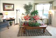 Bradley Park - Living Room