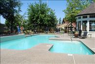 Chandlers Bay - Swimming Pool
