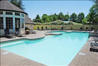 Chandlers Bay - Swimming Pool