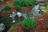 Fox Run - Outdoor Area