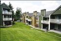 Hamptons-Puyallup Apartments