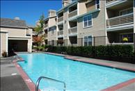Huntington Park - Swimming Pool