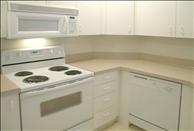 Ivory Wood - Kitchen