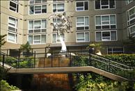 Seattle - Belltown - Olympus - Community