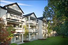 Tacoma - Lakewood - Village at Seeley Lake - Community