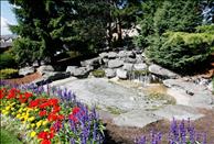 Stoney Creek - Pond