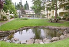Seattle - Bellevue - Surrey Downs - Pond