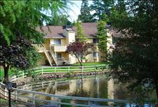 Seattle - Bellevue - Surrey Downs - Pond