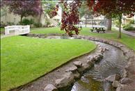 Surrey Downs - Community