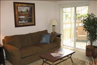Surrey Downs - Living Room