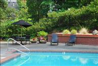 Surrey Downs - Swimming Pool