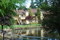 Surrey Downs - Pond