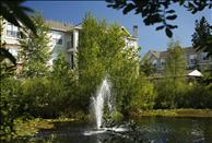 The Reserve at Town Center II - Pond